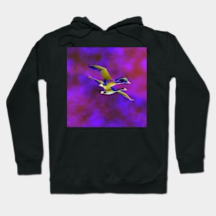 Birds in Flight Abstract Hoodie